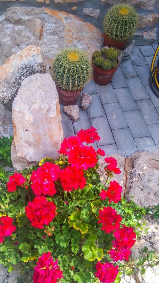 Apartment Li Tar-Vabriga Dış mekan fotoğraf